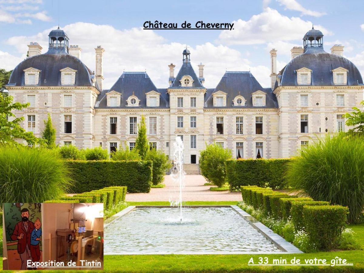 La Porte Aux Dames Romorantin-Lanthenay Buitenkant foto